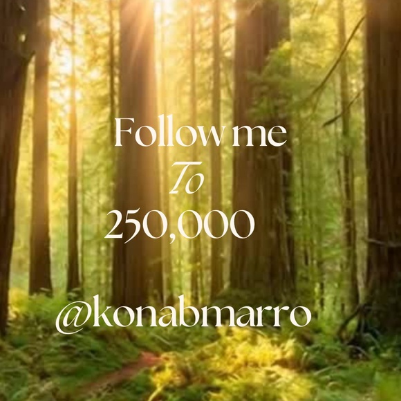 NOBRAND Forest Scene Art Print